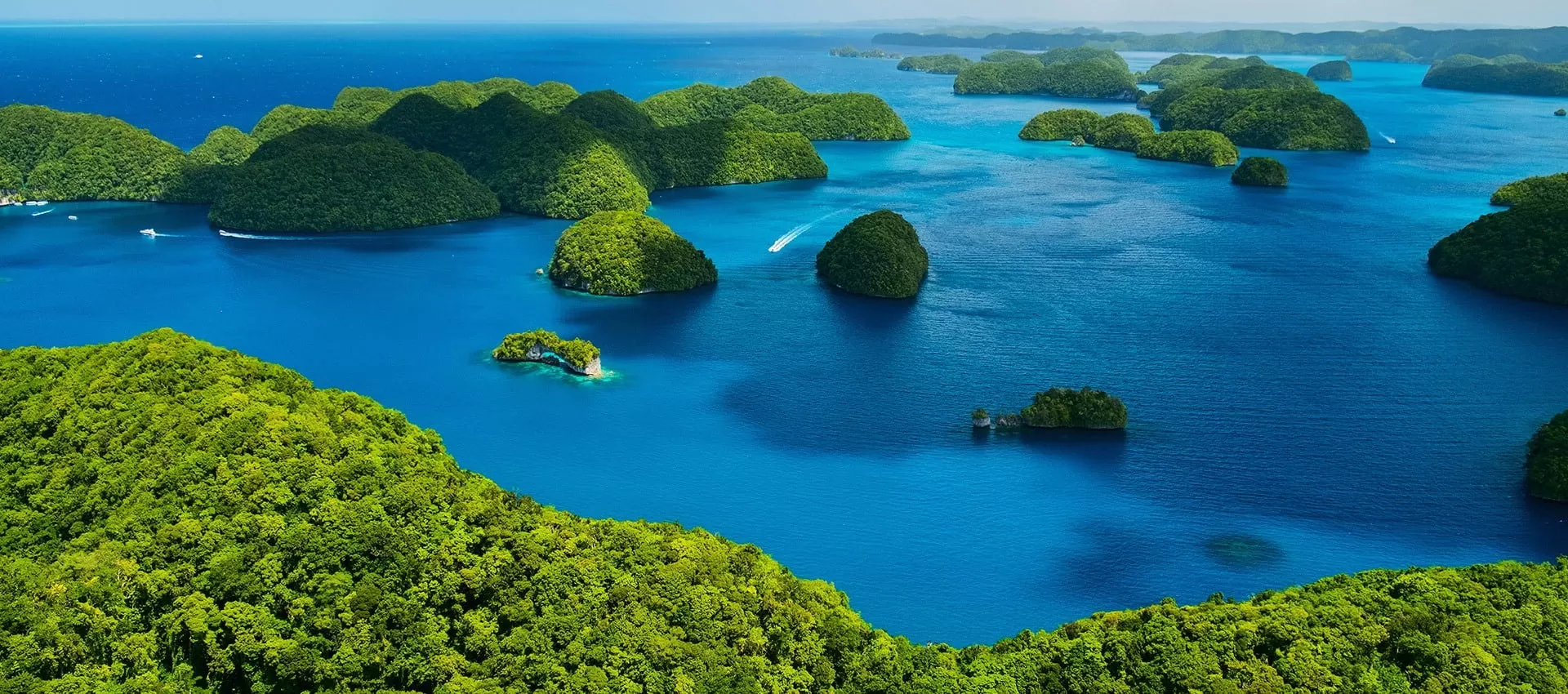 Passio Travel Việt Nam